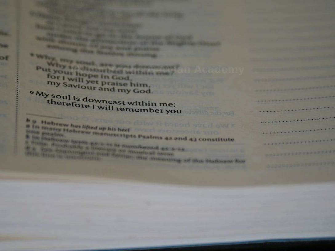 Why Structured German Lessons Help Beginners Stay Motivated