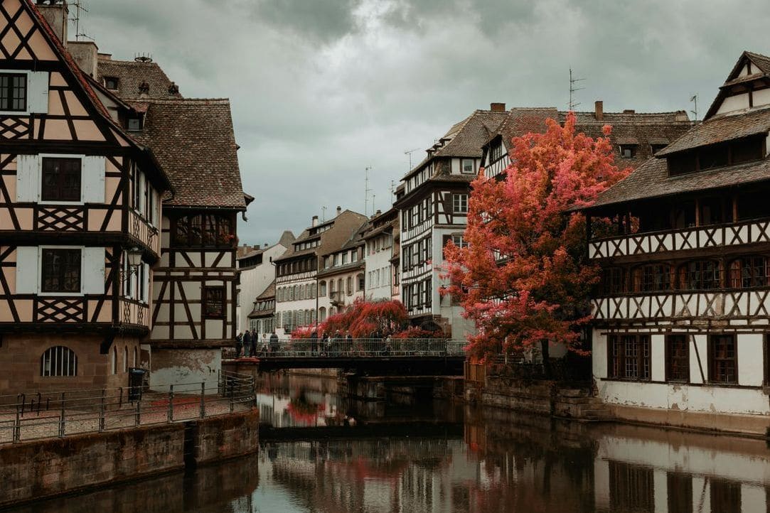 Maple Bridge German Academy 4