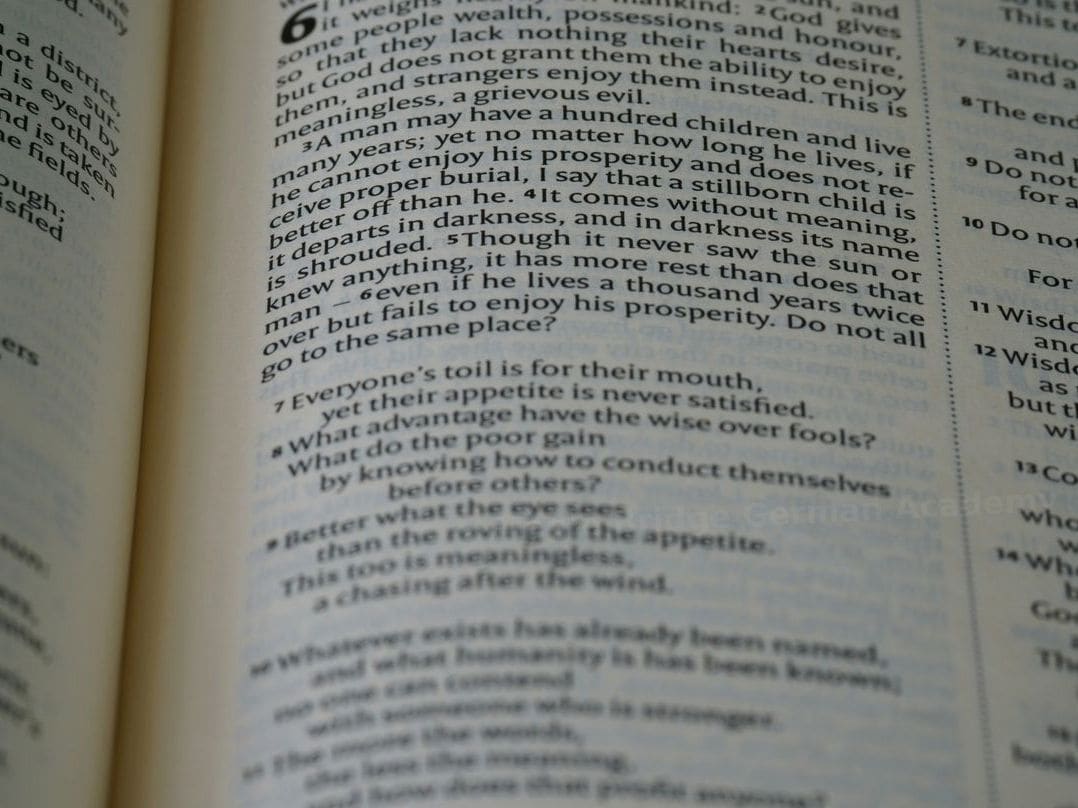 Intermediate and advanced German classes